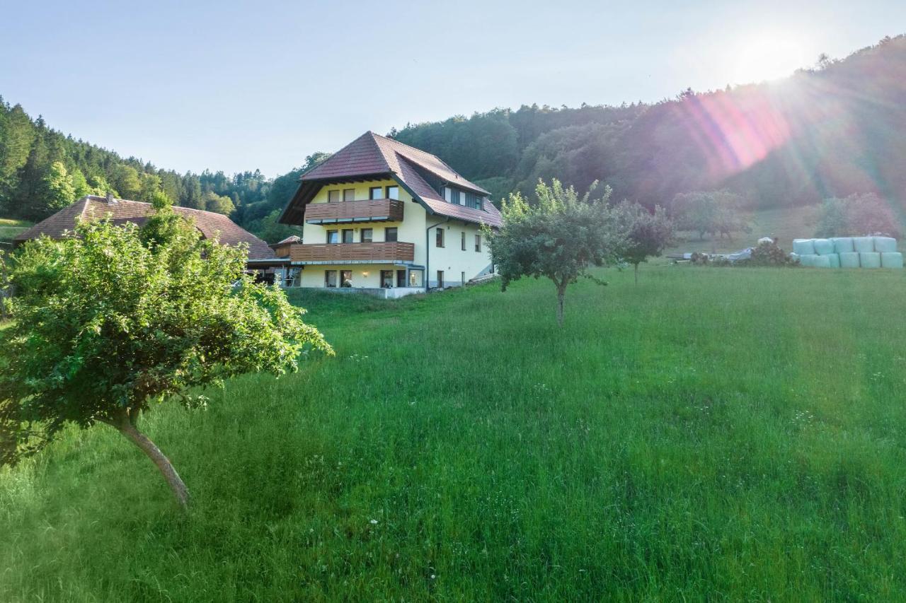 Ferienwohnung Ohnemus Schuttertal Exterior photo
